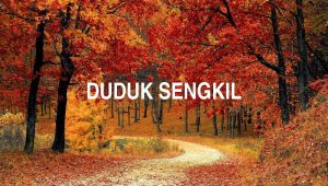 Duduk Sengkil