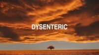 Dysenteric