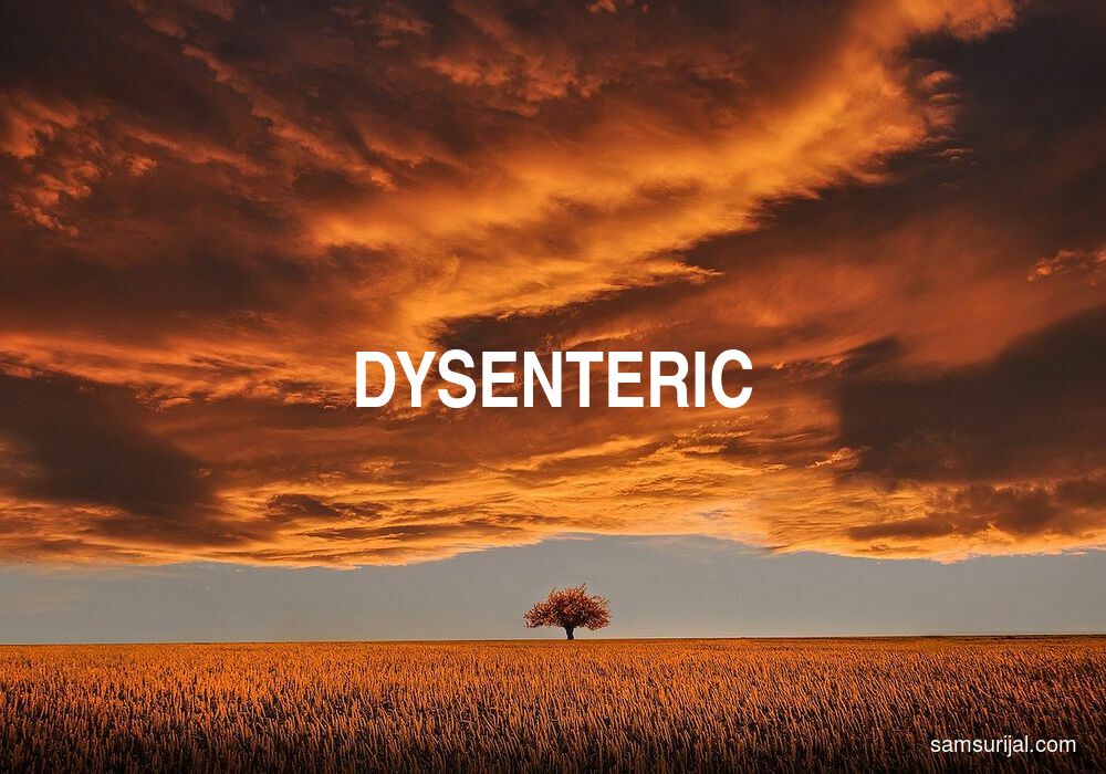 Arti Dysenteric