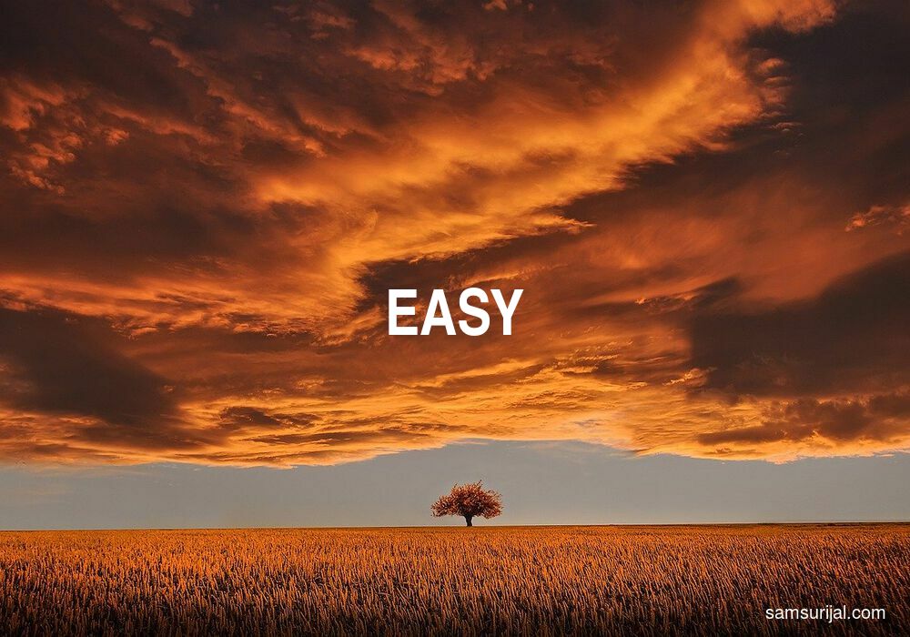 Arti Easy