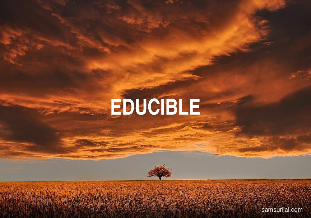 Arti Educible