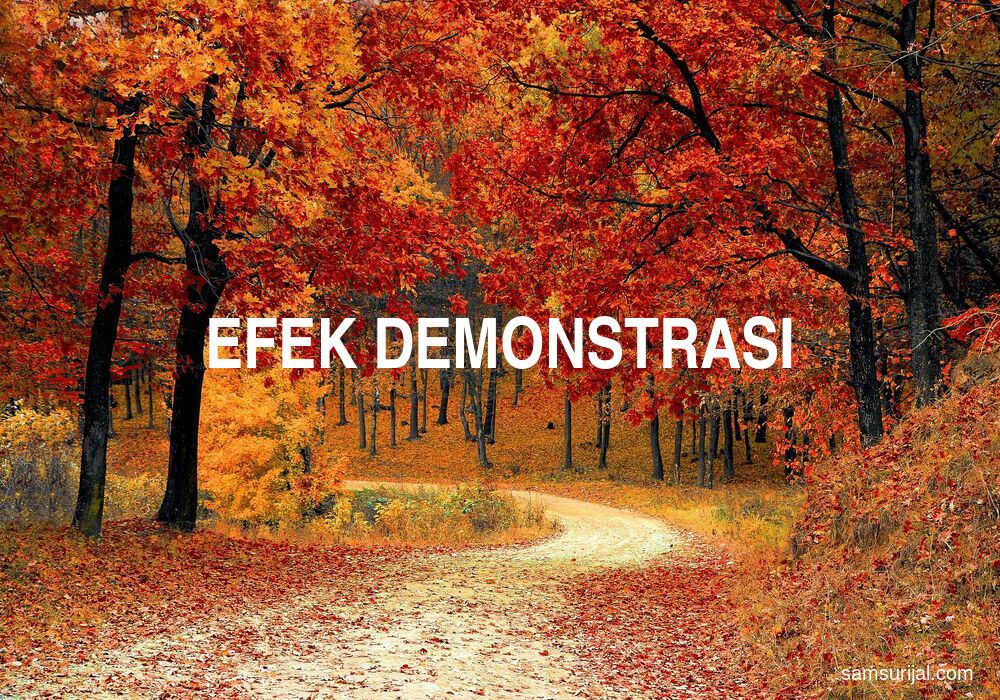 Arti Efek Demonstrasi