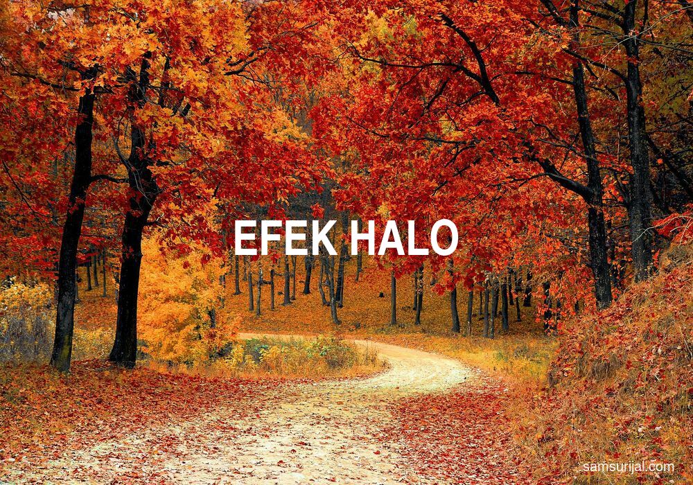 Arti Efek Halo