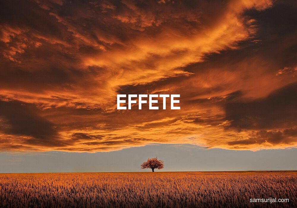 Arti Effete