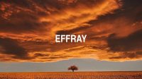 Effray