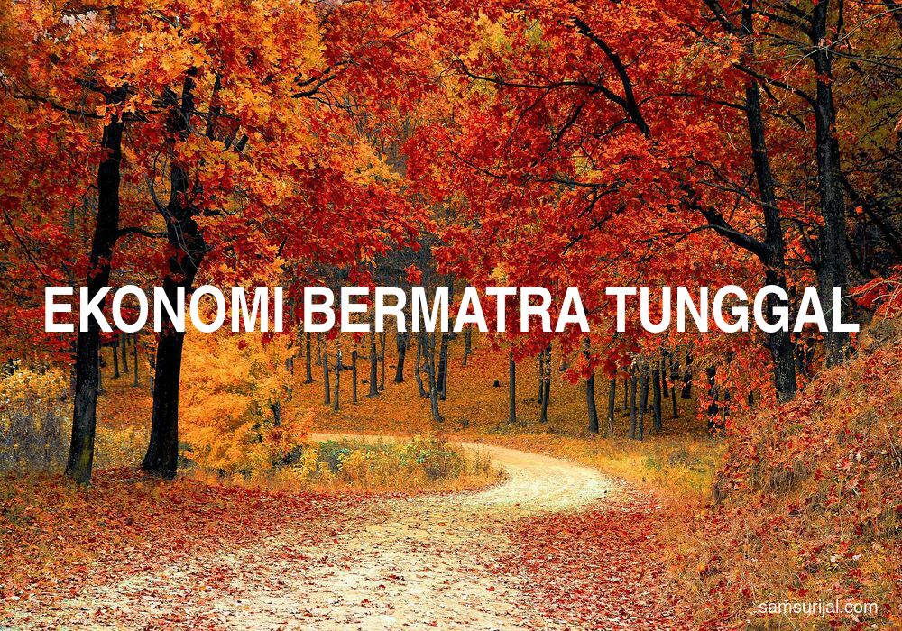 Arti Ekonomi Bermatra Tunggal