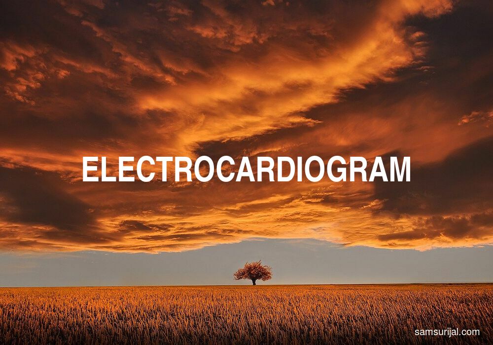 Arti Electrocardiogram