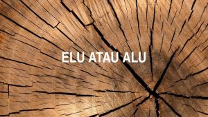 Elu atau Alu