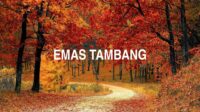 Emas Tambang