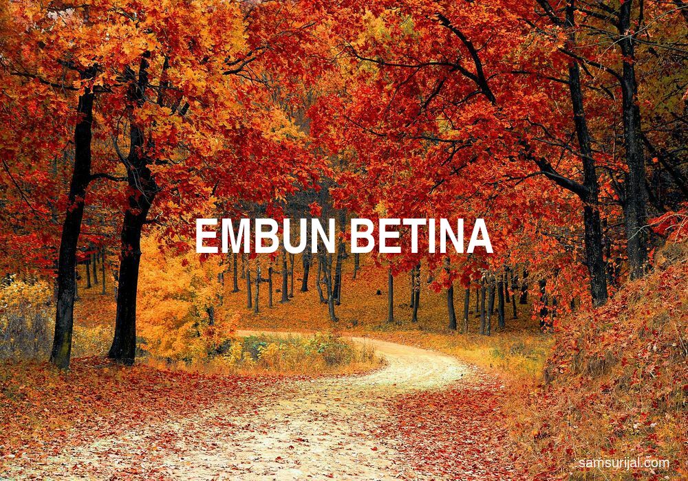 Arti Embun Betina