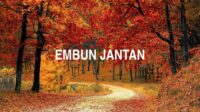 Embun Jantan