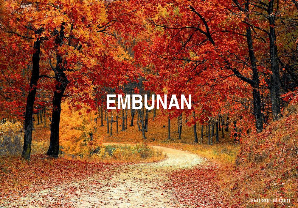 Arti Embunan