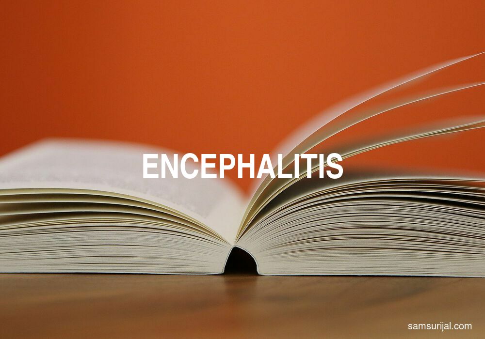 Arti Encephalitis