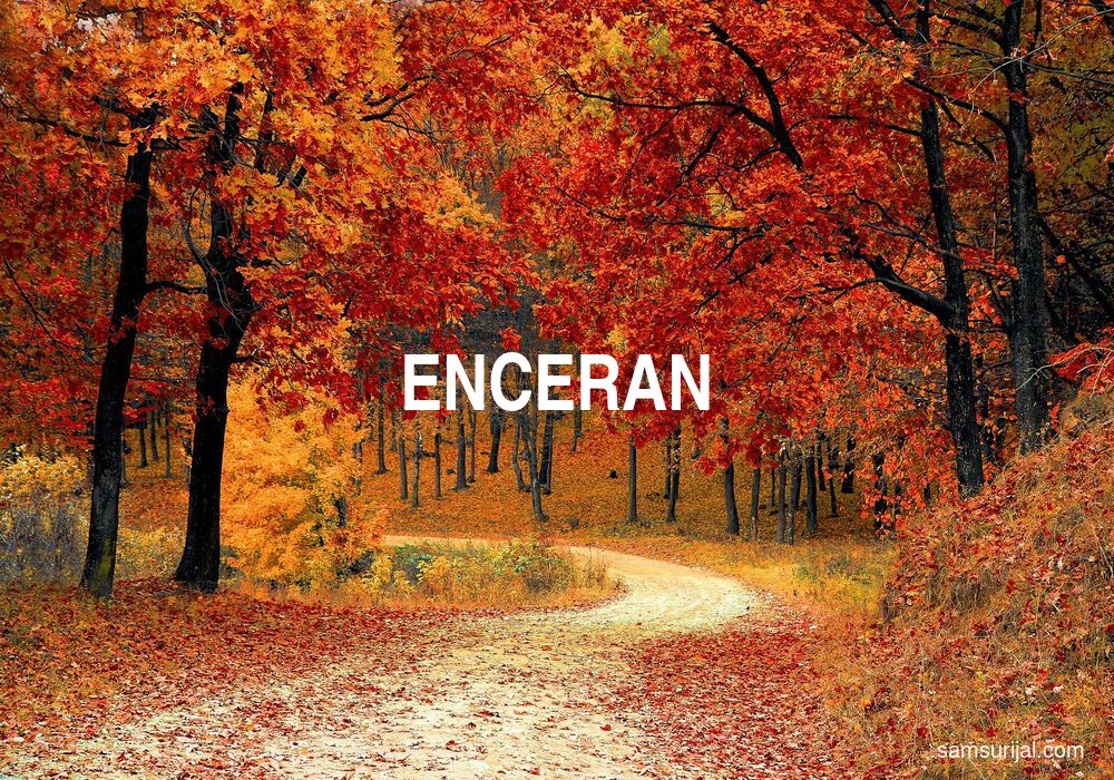 Arti Enceran