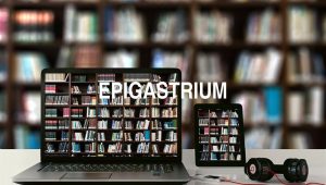 Arti Epigastrium