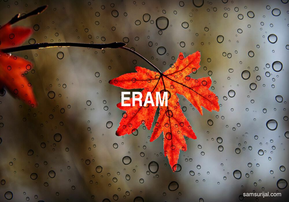 Arti Eram