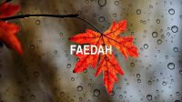 Faedah