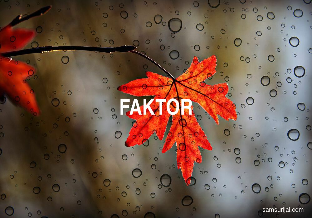 Arti Faktor