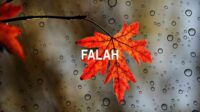 Falah