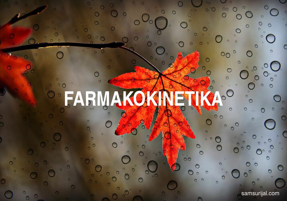 Arti Farmakokinetika