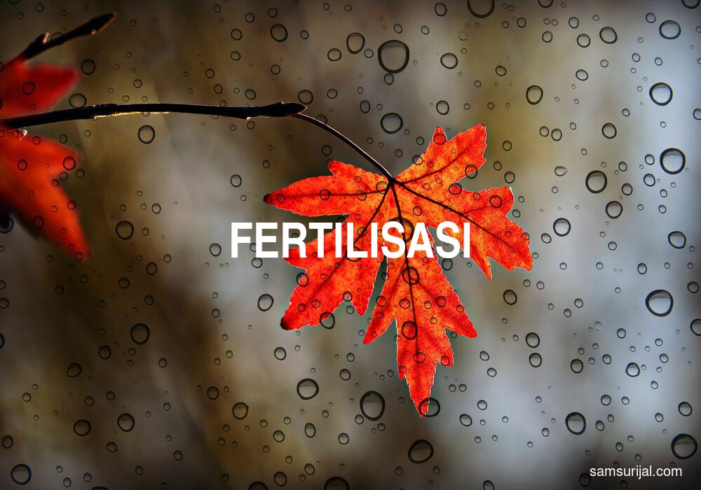 Arti Fertilisasi