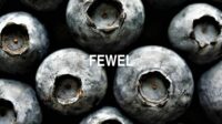 Fewel