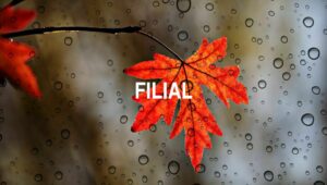 Filial