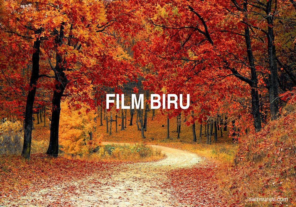 Arti Film Biru