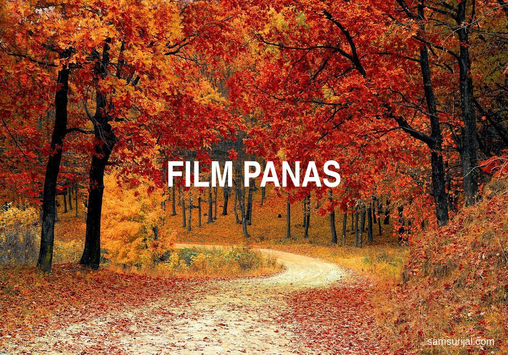 Arti Film Panas