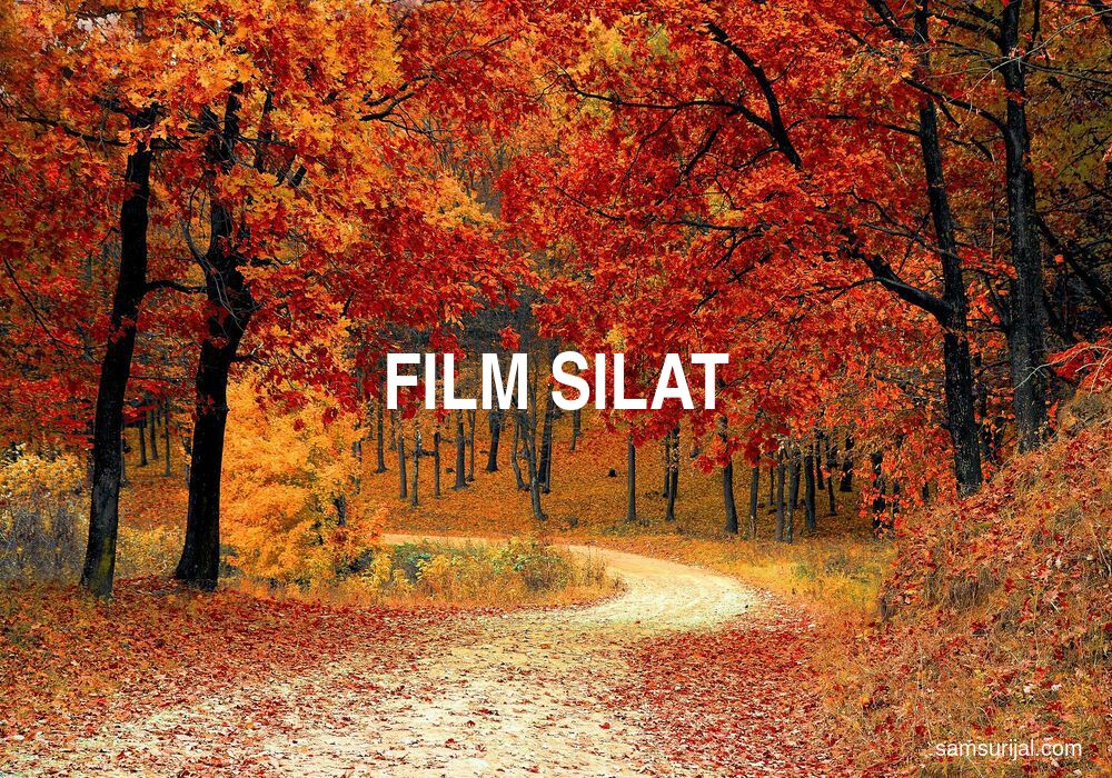 Arti Film Silat