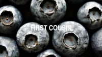 First Cousin