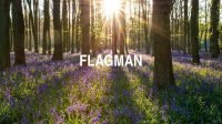 Flagman