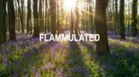 Flammulated