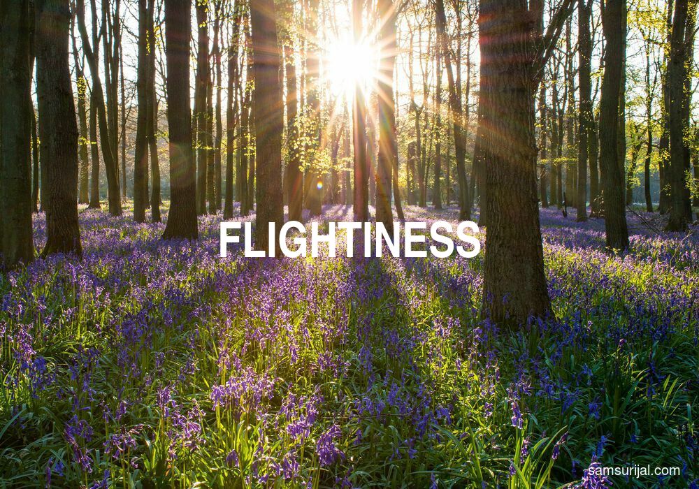 Arti Flightiness