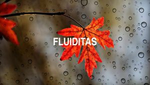 Arti Fluiditas