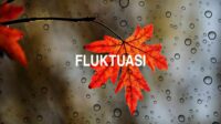 Fluktuasi