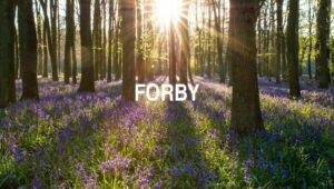 Arti Forby