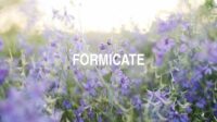 Formicate