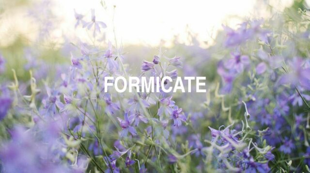 Arti Formicate