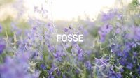 Fosse