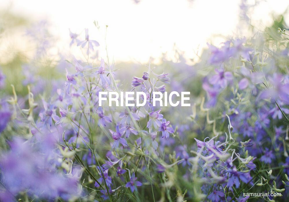 Arti Fried Rice