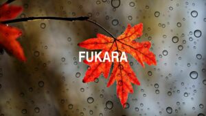 Arti Fukara