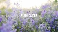 Fumigate