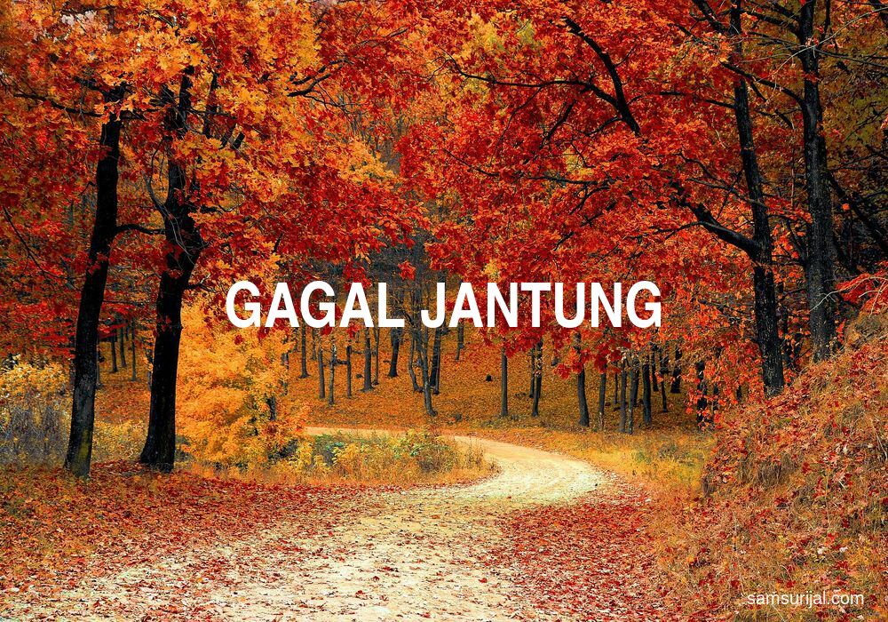 Arti Gagal Jantung