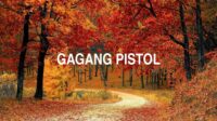 Gagang Pistol