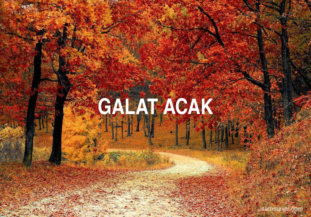 Arti Galat Acak