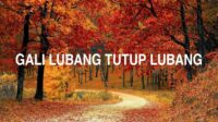 Gali Lubang Tutup Lubang