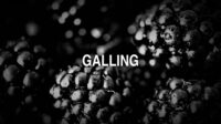 Galling