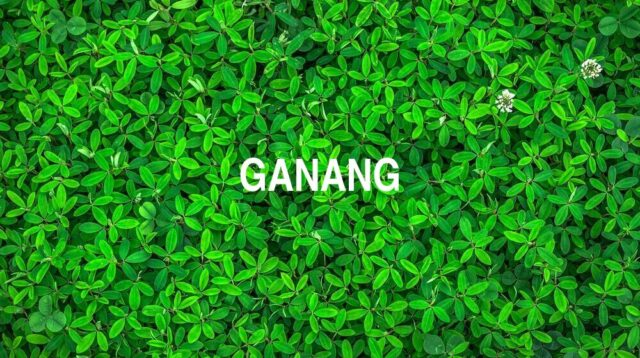 Arti Ganang