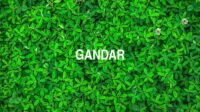 Gandar